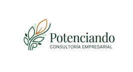 Potenciando Consultoría Empresarial